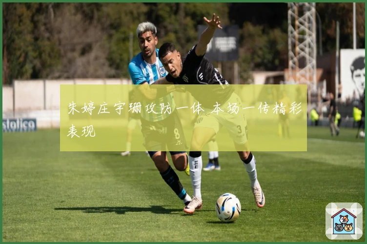 朱婷庄宇珊攻防一体 本场一传精彩表现